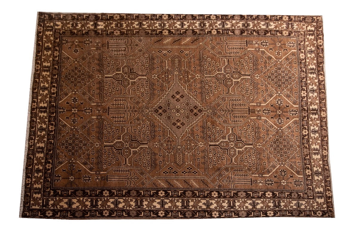 Hand knotted Persian Bakhtiyari Rug