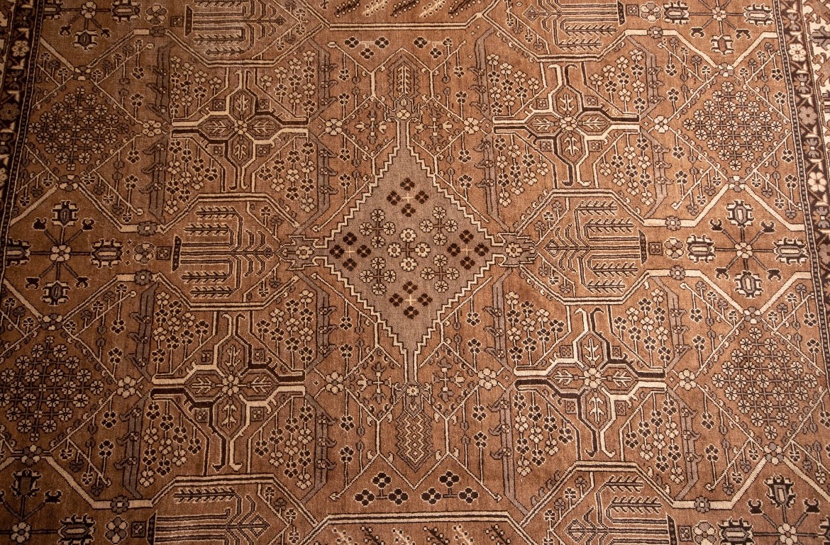 Hand knotted Persian Bakhtiyari Rug