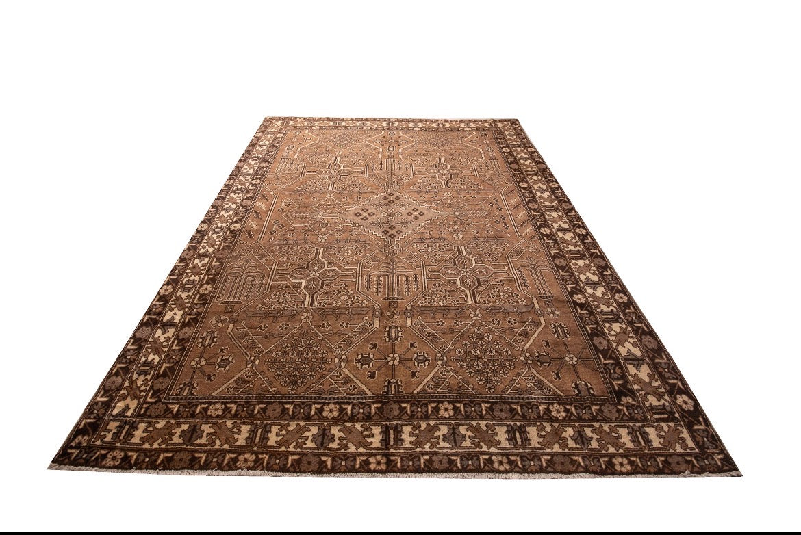 Hand knotted Persian Bakhtiyari Rug